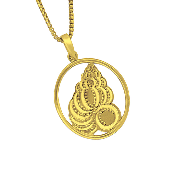 14k Yellow Shell Museum Pendant